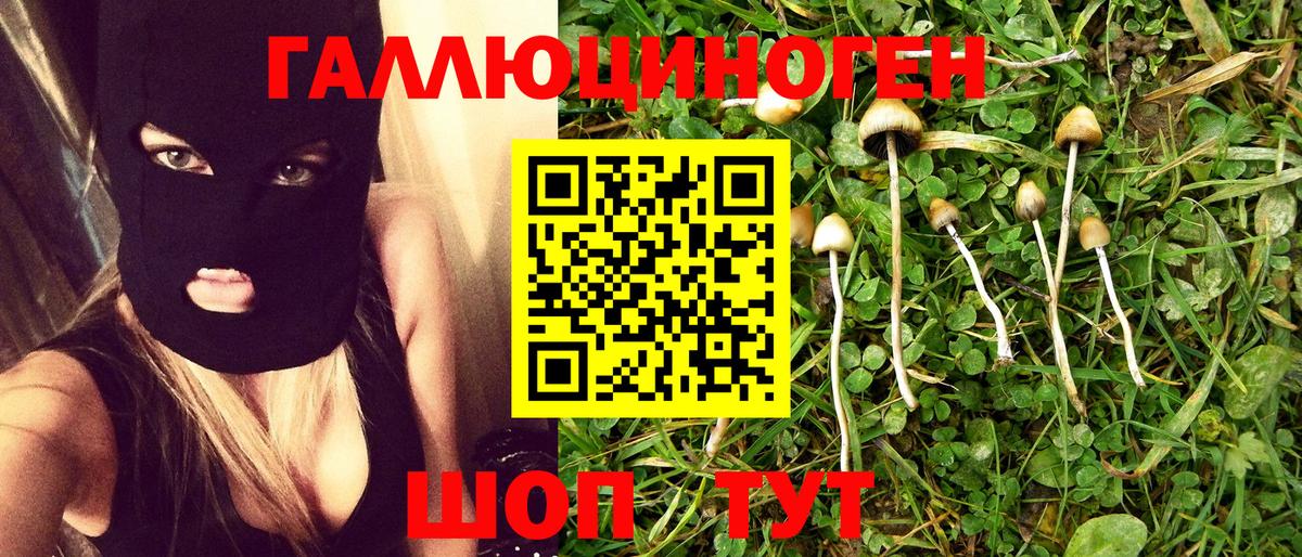 Псилоцибиновые грибы Cubensis Шелехов