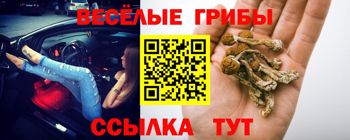 Шелехов  Галлюциногенные грибы ЛСД  Вход с VPN 